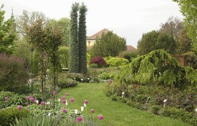 Starkl nursery, &copy; G&auml;rtnerei Starkl