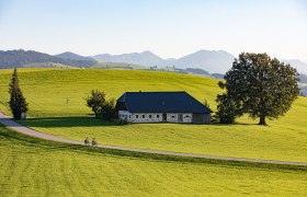 Mostradeln.jpg, &copy; Mostviertel Tourismus, schwarz-koenig.at