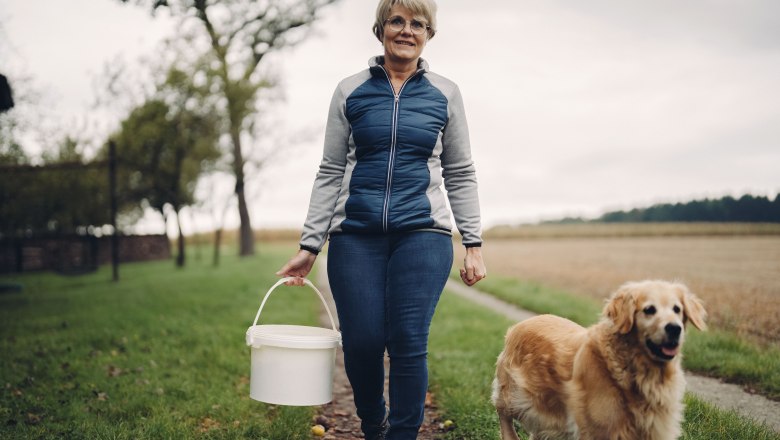 Pihringer's Moststub'n, © Moststraße, dochbodnliacht