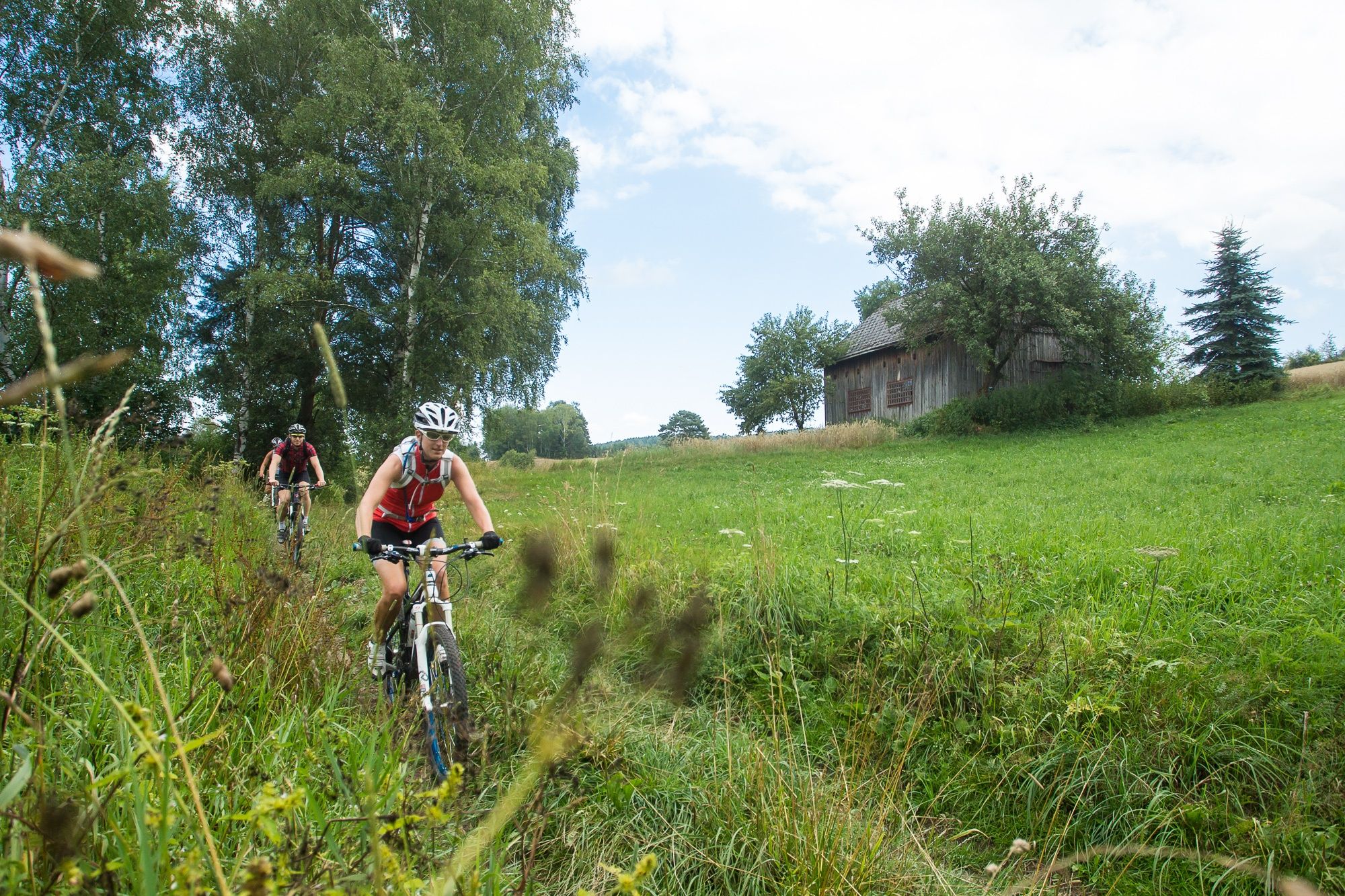 MTB Waldviertel