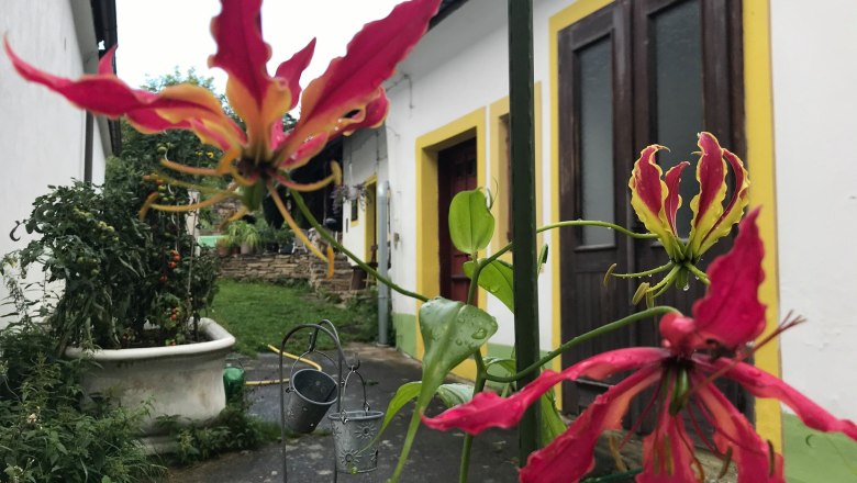 Vacation home, © U. Mitterbauer