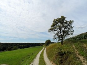 Marterlweg, &copy; Mostviertel - Jakobsweg