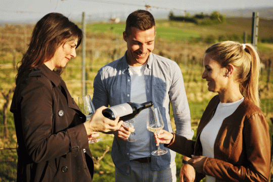 zaujímavosti o víne priamo od vinára., © Niederösterreich-Werbung/Andreas Jakwerth