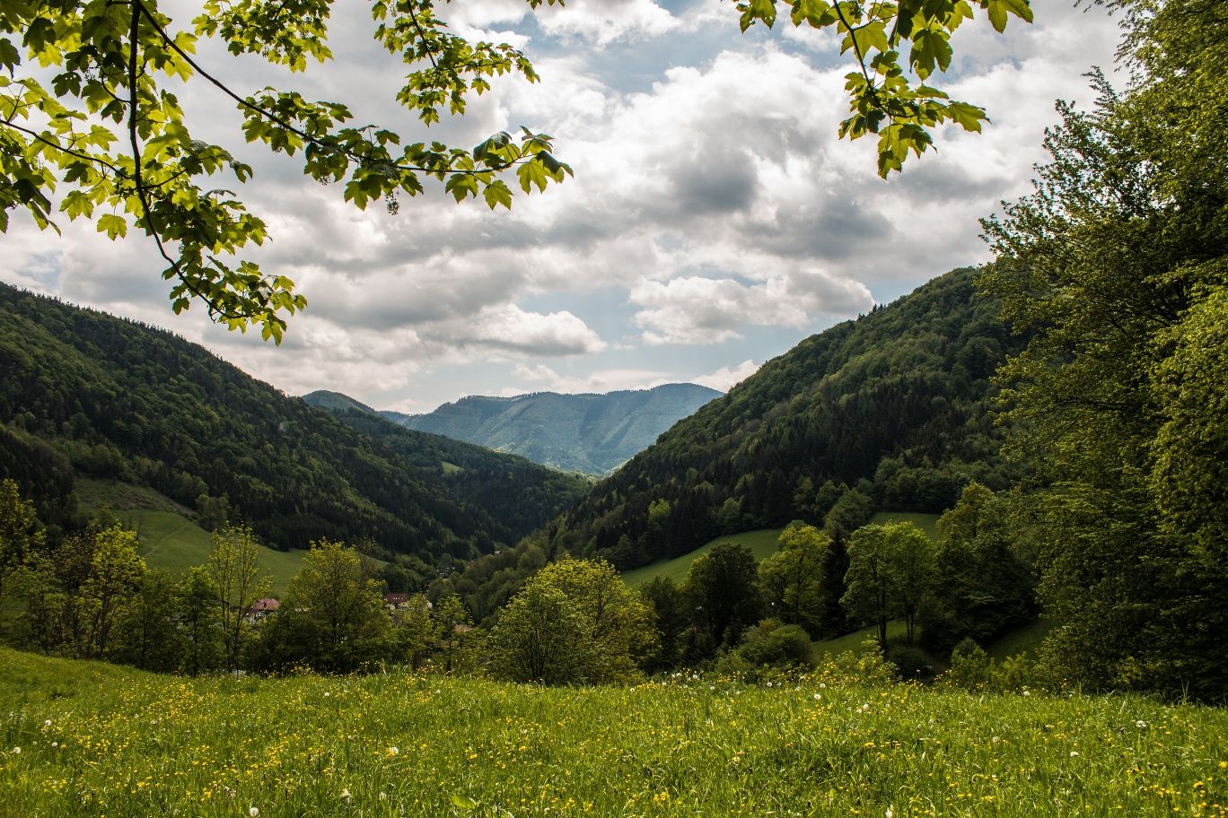 Pohľad nad kostolným sídliskom