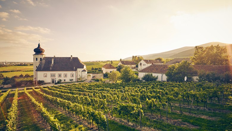 Freigut Thallern je jedným z najstarších vinárstiev v Rakúsku. , © Andreas Hofer