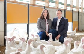 Organic turkey family Puchegger, &copy; LK N&Ouml;, Gerald Lechner