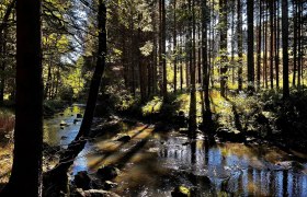 Kamptal, &copy; Dr. Markus Peham