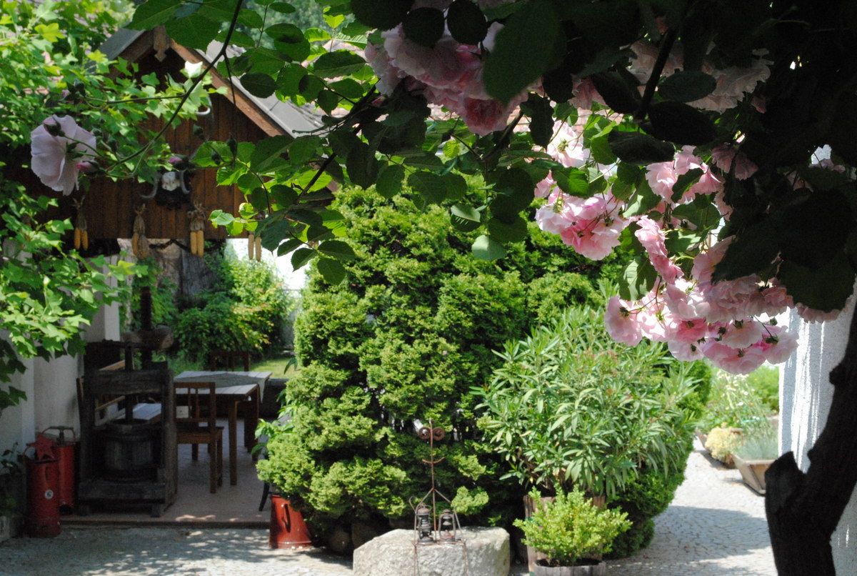 Idylická záhrada s kvitnúcimi ružami, dreveným stolom a malým dreveným domčekom v pozadí.