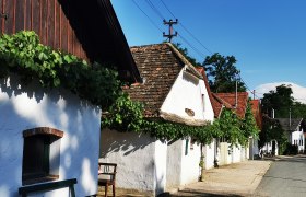 Hadres_Kellergasse_Weinstra&szlig;e Weinviertel (10), &copy; Weinstra&szlig;e Weinviertel