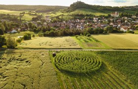 Pleasure stop at the vineyard labyrinth, &copy; Michael Reidinger