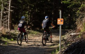 Herrgottschnitzerova cesta do kopca, &copy; Wexl Trails