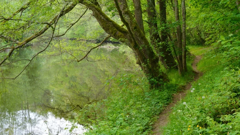 J&auml;gersteig in the Kamp Valley ("Kamptal" in German), &copy; Matthias Schickhofer