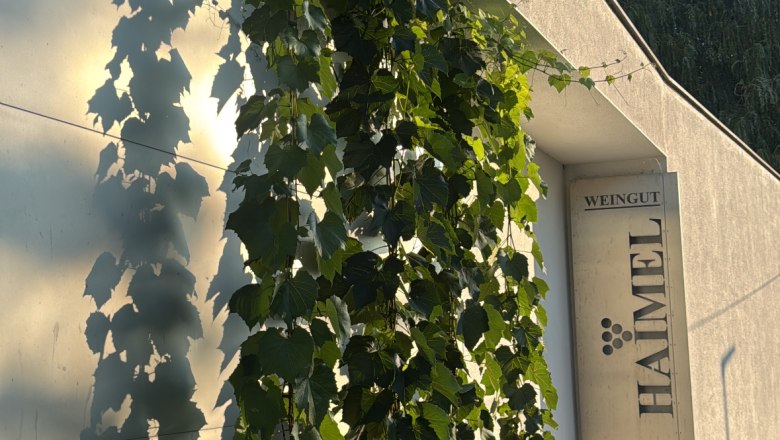 TDR-Weingut Haimel outside, &copy; Weingut Haimel