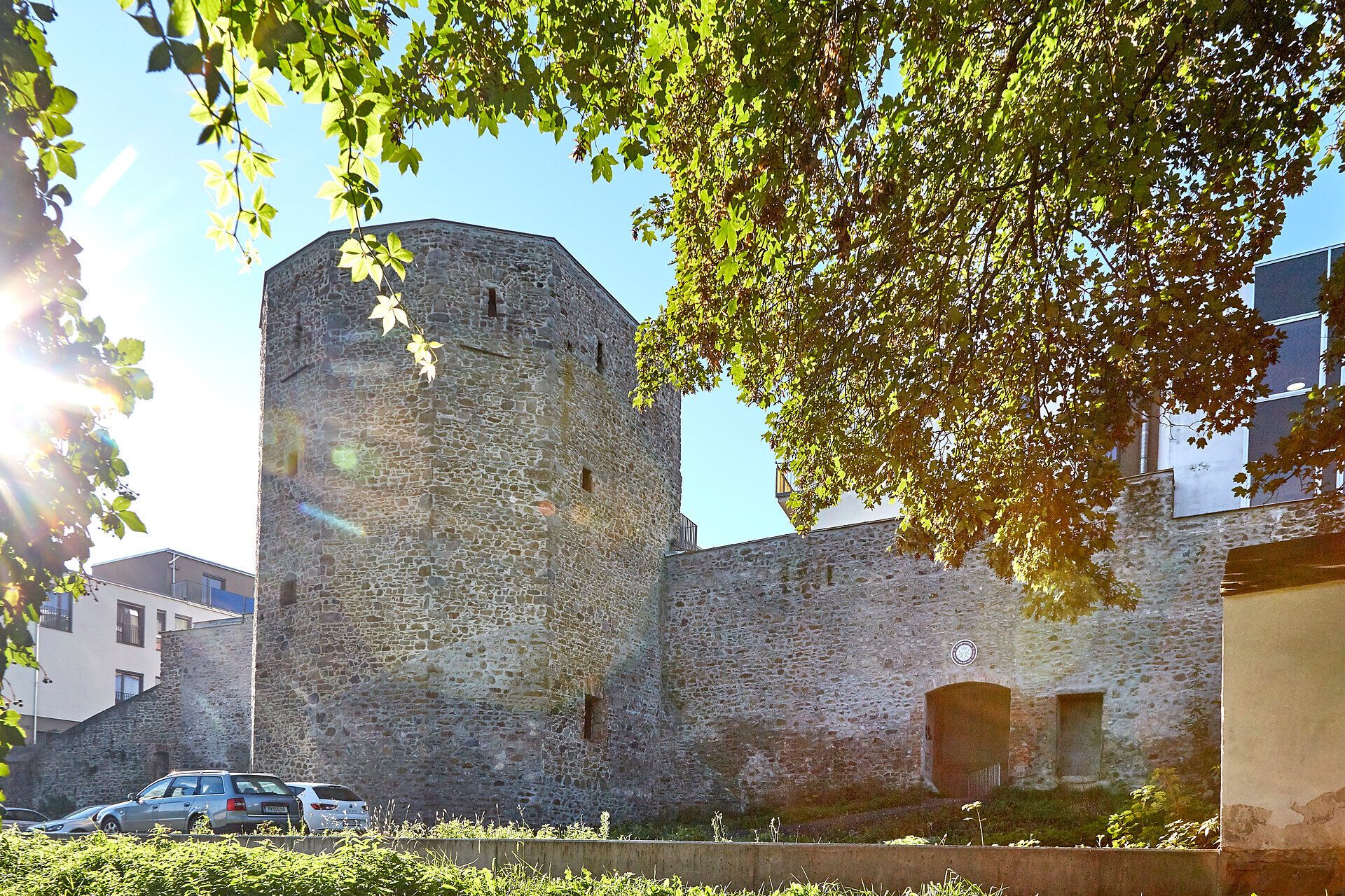 Mestské hradby a veža v obci Waidhofen an der Thaya, obklopené stromami a slnečným svetlom.