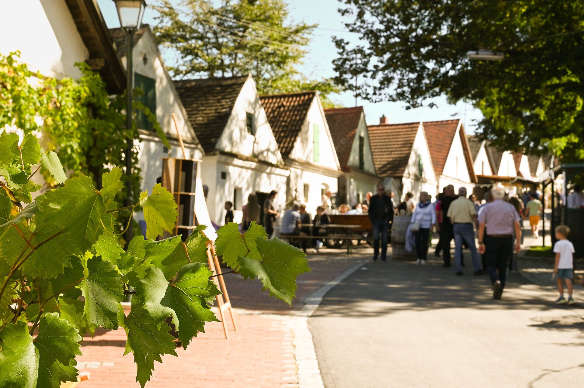 In der malerischen Kellergasse herrscht lebhafte Stimmung, während Besucher die köstlichen Weine und die kreative Kunst genießen. Die sanften Hügel im Hintergrund und die einladenden weißen Häuschen schaffen eine perfekte Kulisse für ein unvergessliches Fest.