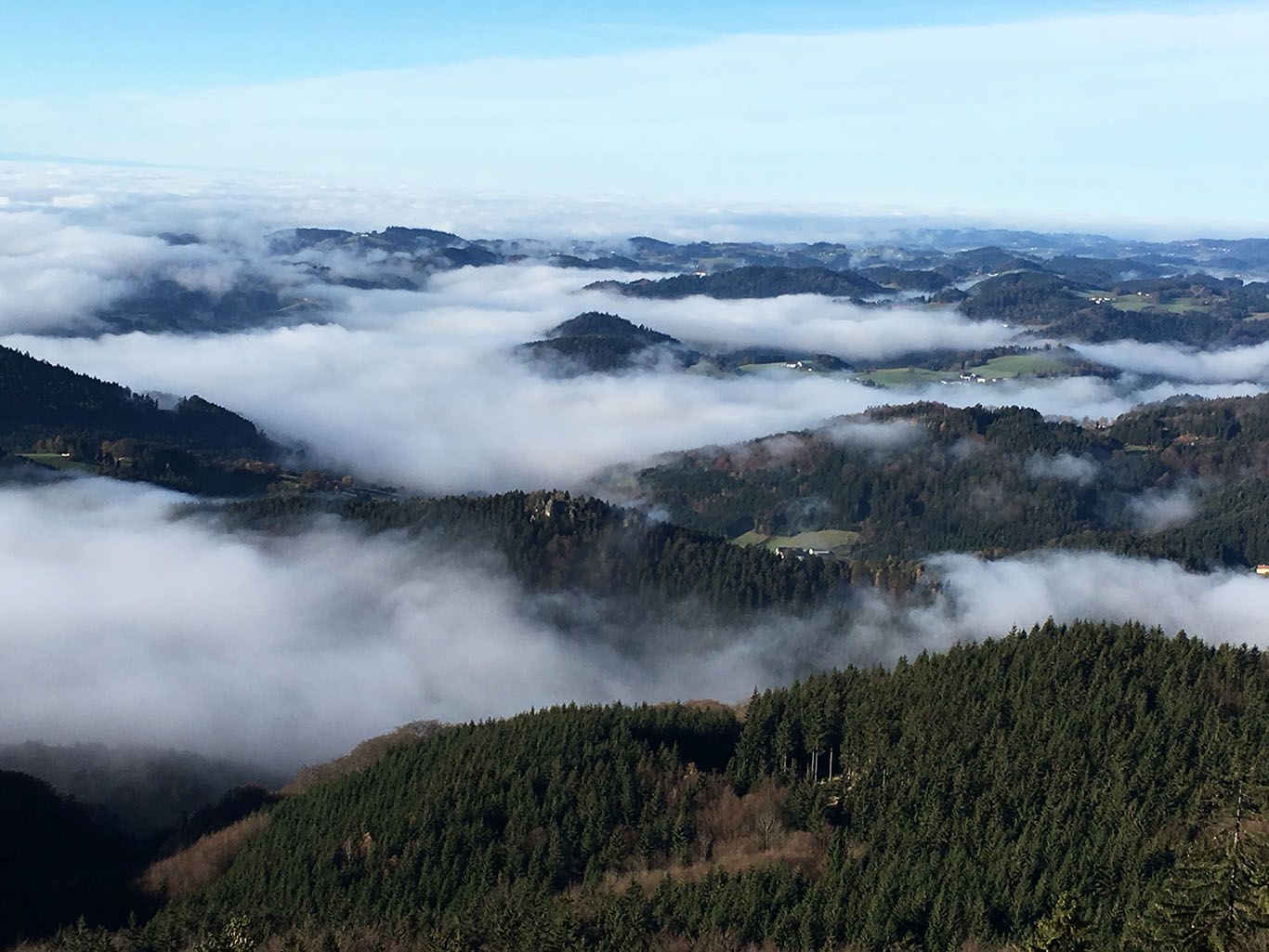 Pohľad z kamenného múru hradu na hmlou zahalené kopce a lesy.