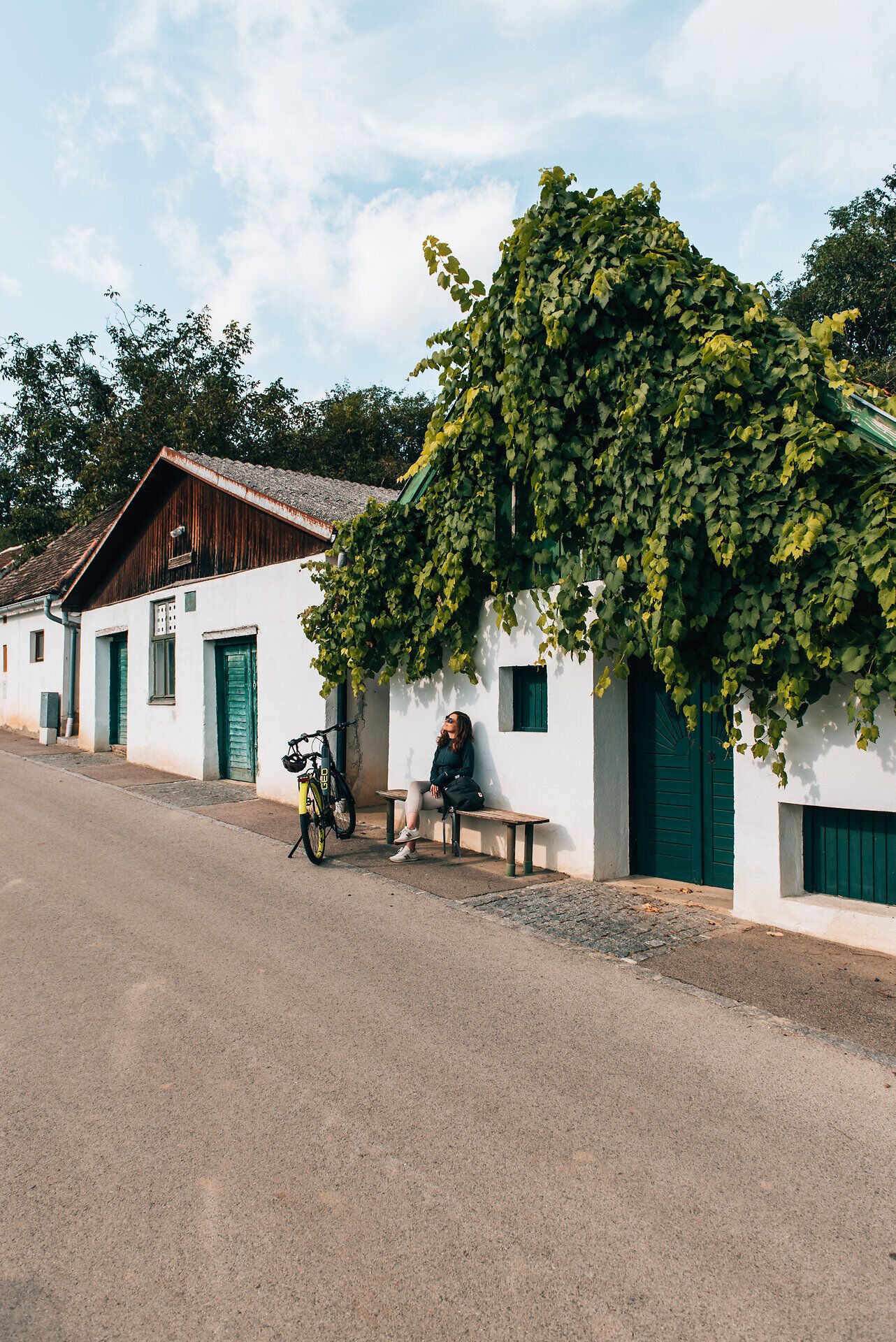 In der malerischen Kellergasse von Mailberg umgeben von üppigem Weinlaub, lädt eine gemütliche Bank zum Verweilen ein. Die sanften Hügel im Hintergrund und die frische Sommerluft schaffen eine einladende Atmosphäre für Weinliebhaber und Naturliebhaber gleichermaßen.