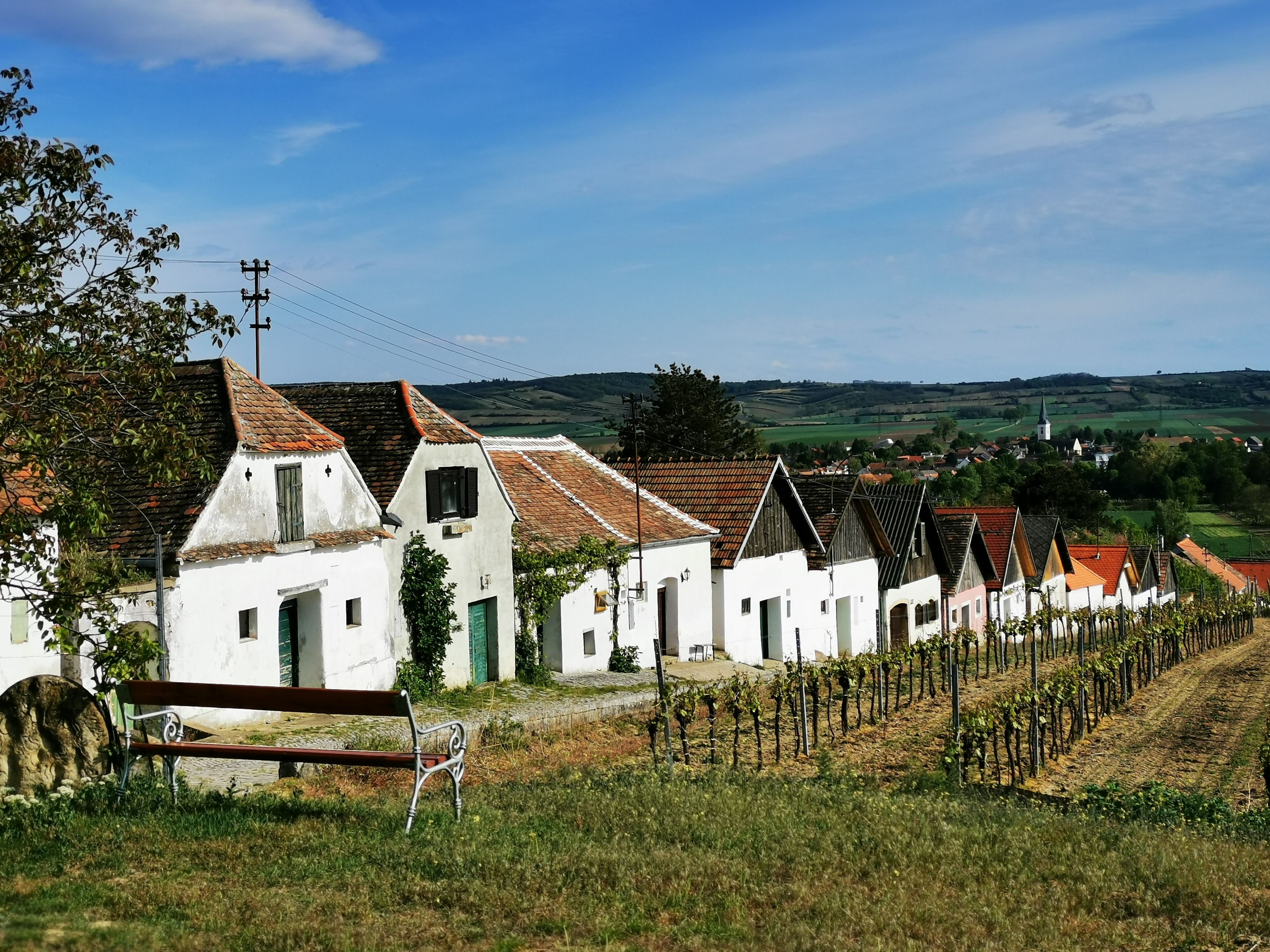 Rad vínnych pivníc v Haugsdorfe s viničom v popredí a dedinou v pozadí.