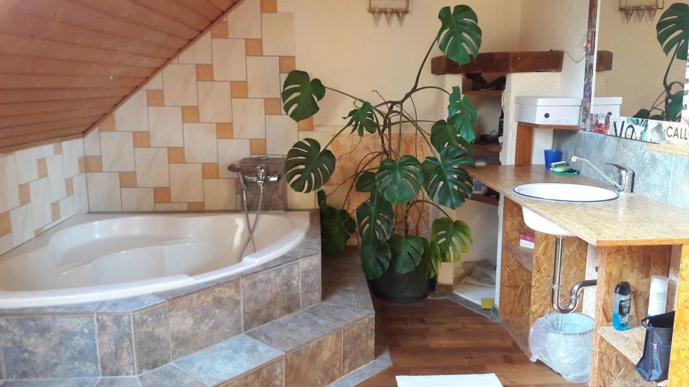 Kúpeľňa s rohovou vaňou, umývadlom a veľkou rastlinou.