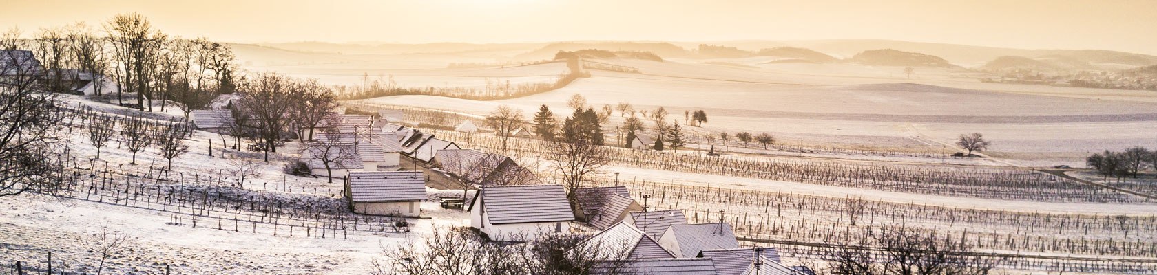 Kellergasse Galgenberg Winter, © Niederösterreich-Werbung/Robert Herbst