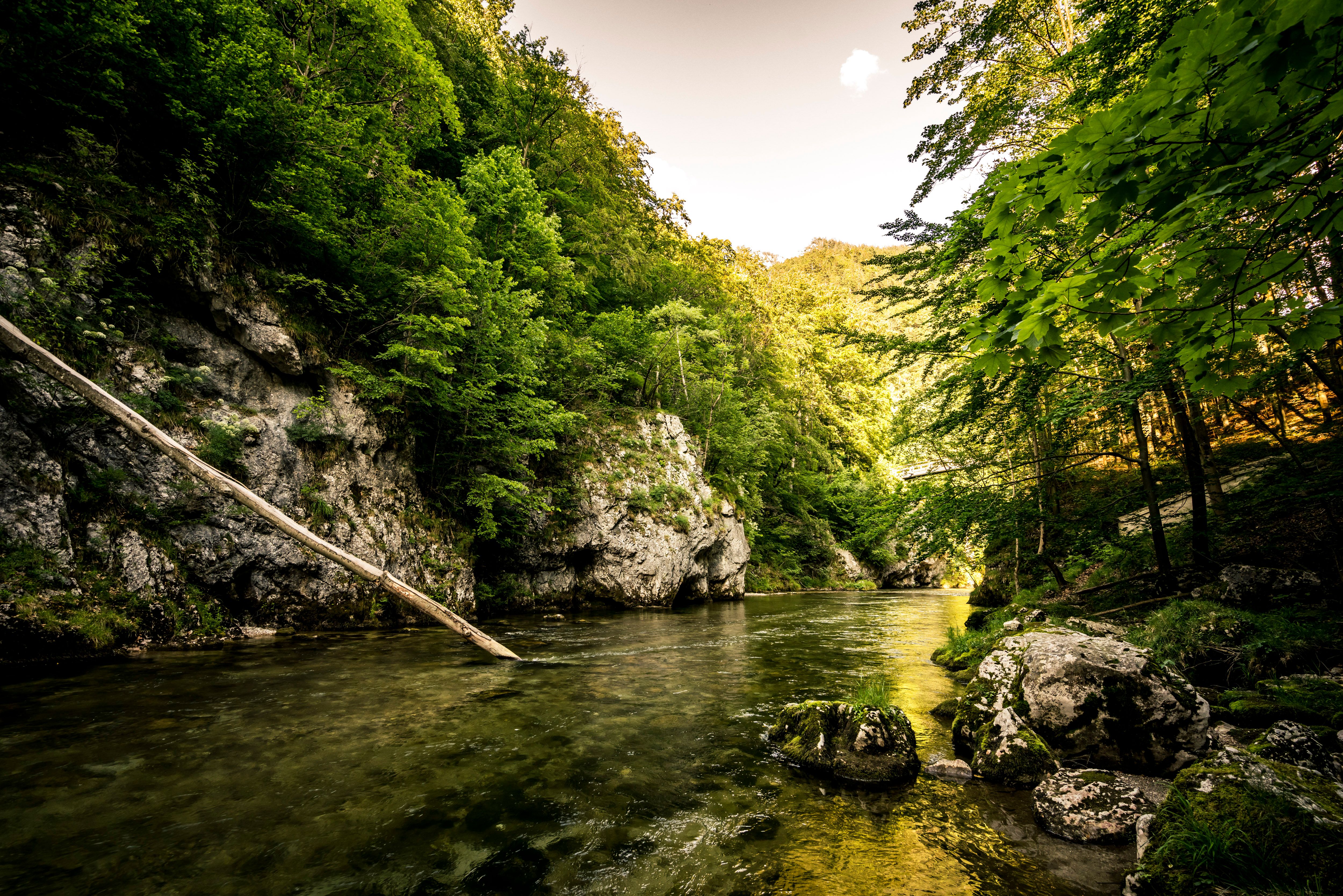 Das Höllental verzaubert mit seiner unberührten Natur und dem klaren Wasser, das sanft durch die grüne Landschaft fließt. Umgeben von majestätischen Felsen und üppigen Wäldern, lädt dieser Ort zum Entspannen und Erkunden ein.