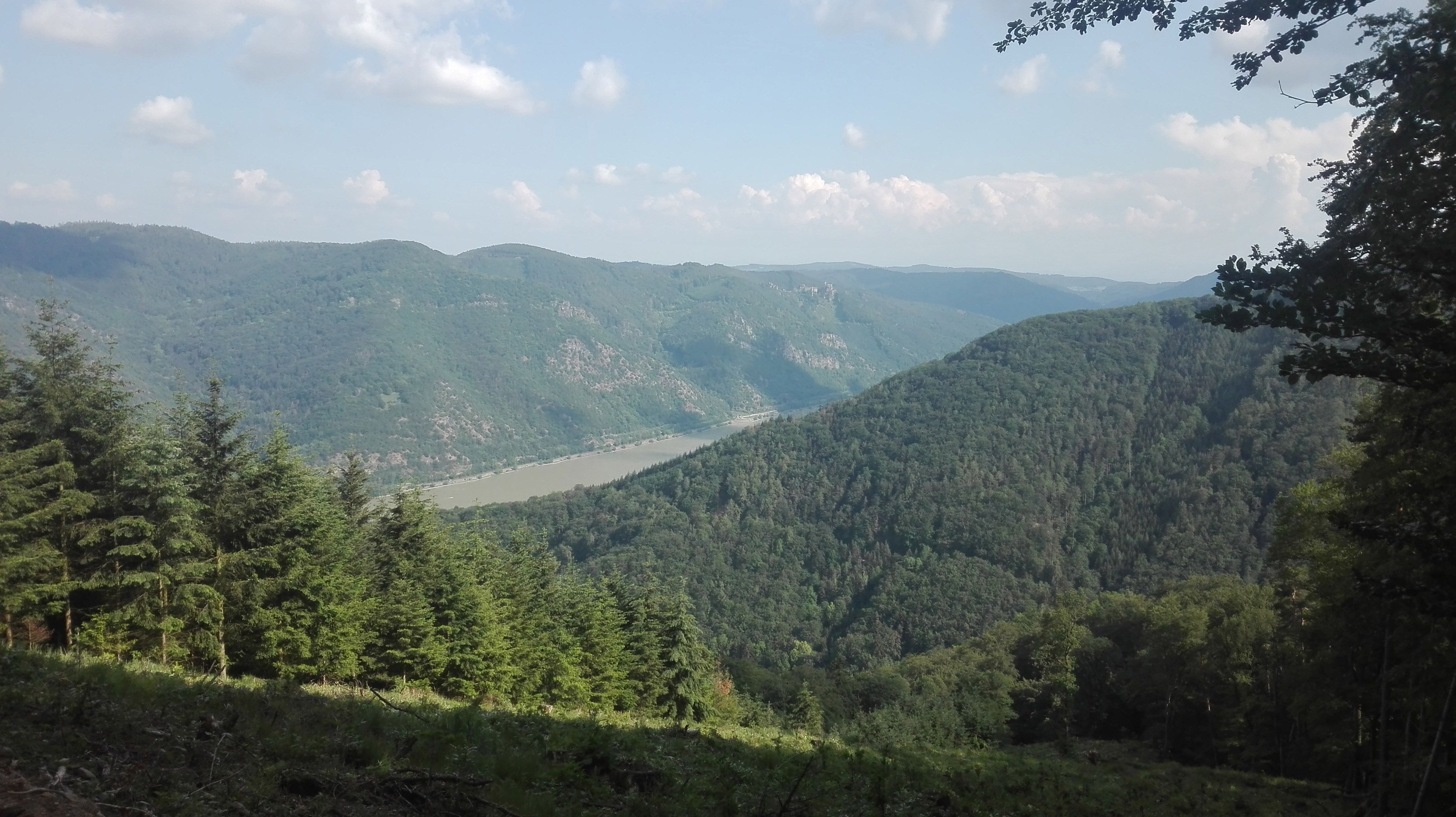 Pohľad z Jauerlingu na zalesnené kopce a rieku pod modrou oblohou.
