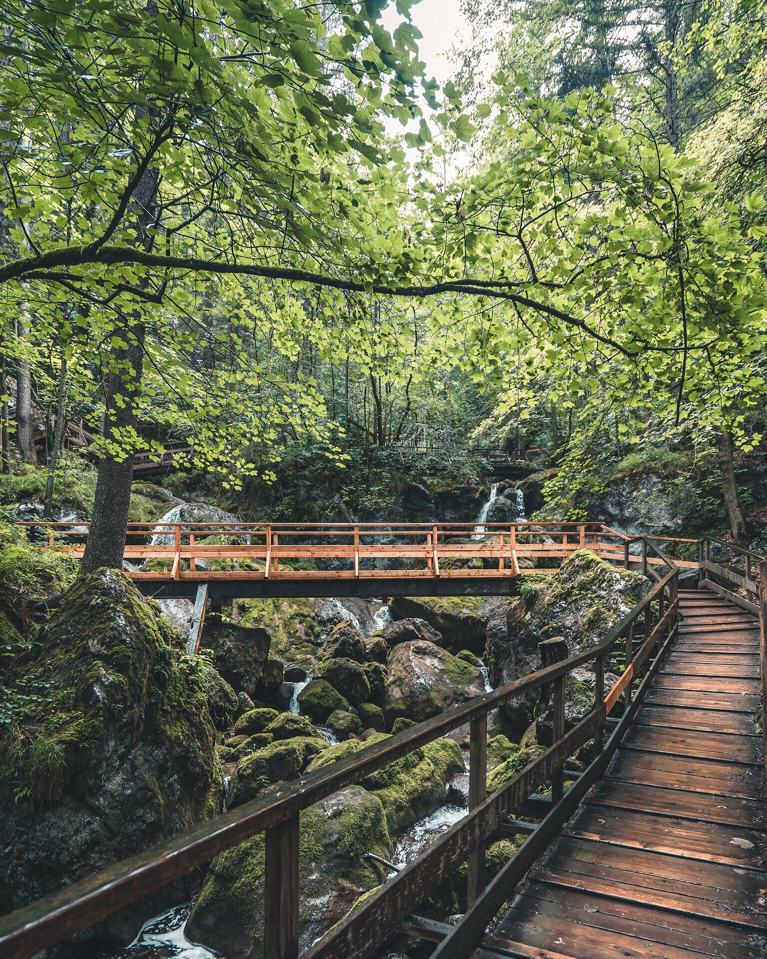 Ein malerischer Wanderweg schlängelt sich durch die üppige, grüne Landschaft, umgeben von rauschenden Wasserfällen und sanften Hügeln. Die frische, klare Luft und das sanfte Plätschern des Wassers laden dazu ein, die Natur in vollen Zügen zu genießen und die Seele baumeln zu lassen.