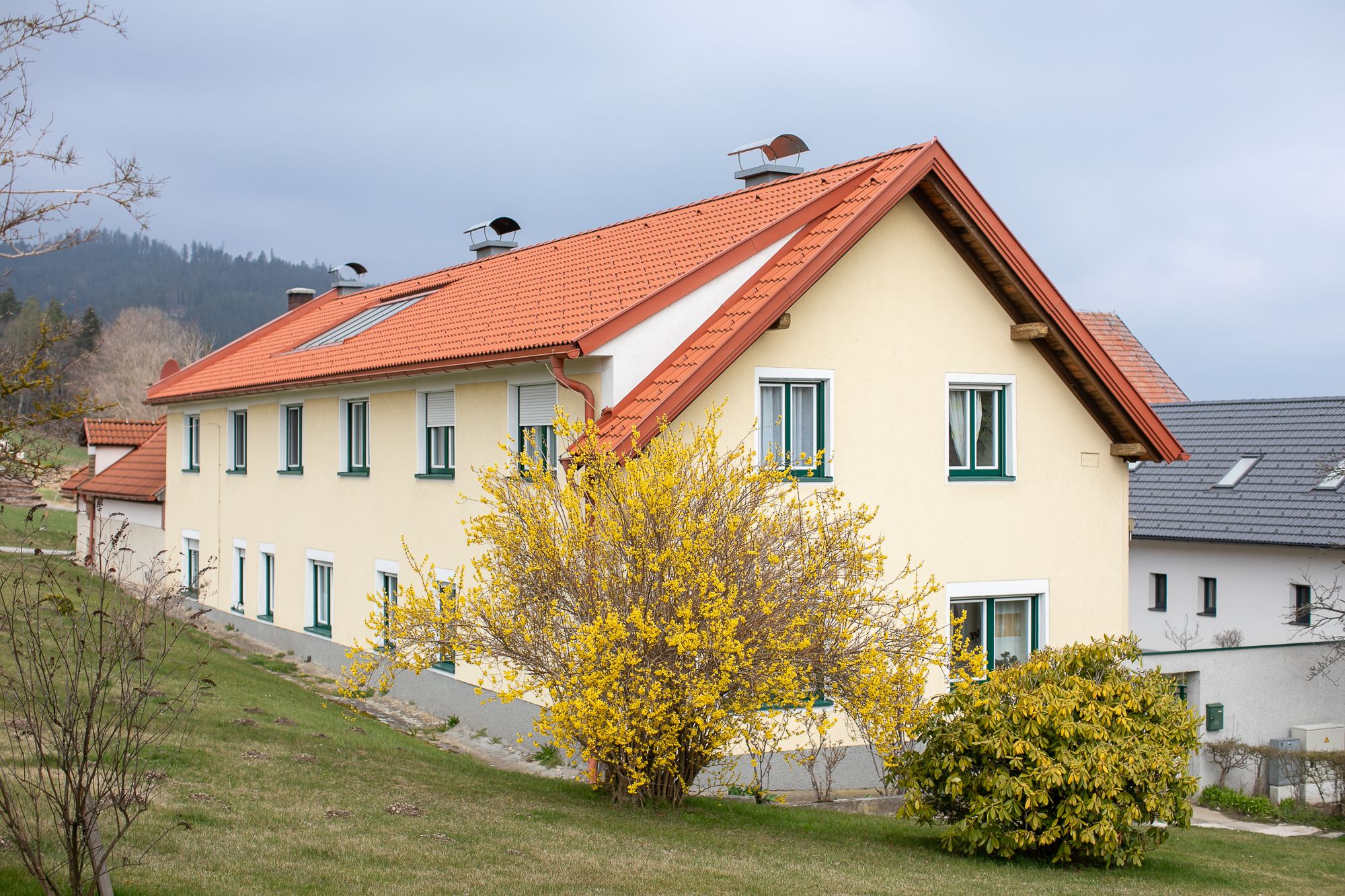 Žltý dom s červenou strechou a kvitnúcim kríkom v popredí.