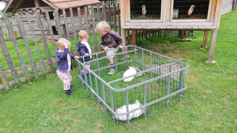 Tri deti stoja pri malej ohrade s bielymi králikmi na lúke.
