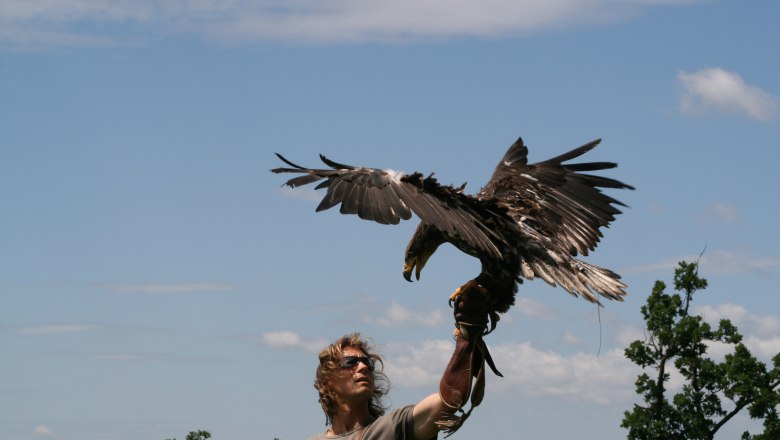 Flight demonstration, © topshot.co.at