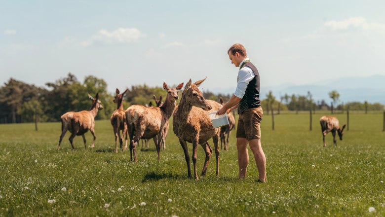 Patrick Langthaler feeding red deer, © Niederösterreich Werbung/Daniela Führer