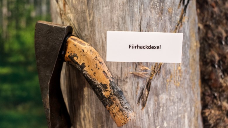 Fork index, &copy; Corinna Pernitsch