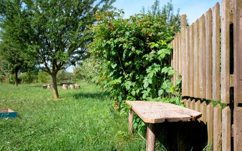Drevená lavička pri drevenom plote v zelenej záhrade so stromami.