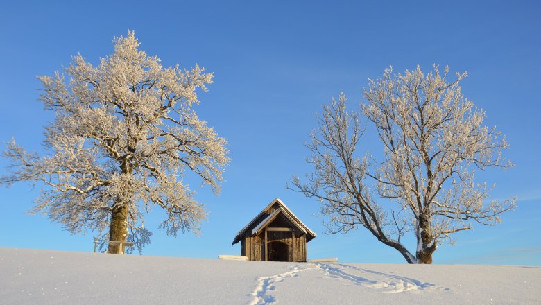 Bright blue sky in winter, &copy; Gottfried & Rosina Wagner