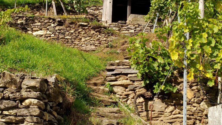 Na panoramatickom chodn&iacute;ku Spitzer Graben, &copy; Donau N&Ouml;: Heidi Schauer-Leberzipf
