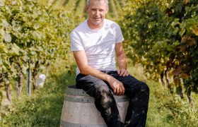 G&uuml;nther Glock Winery, &copy; Die Rubin Carnuntum Weing&uuml;ter