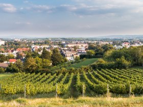 Wasserleitungsweg, &copy; Baden Tourismus/Michael Dittrich
