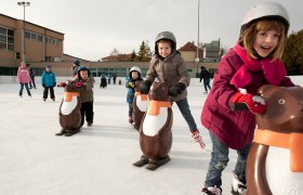 Artificial ice rink Matzen, © Barbara P. Photography