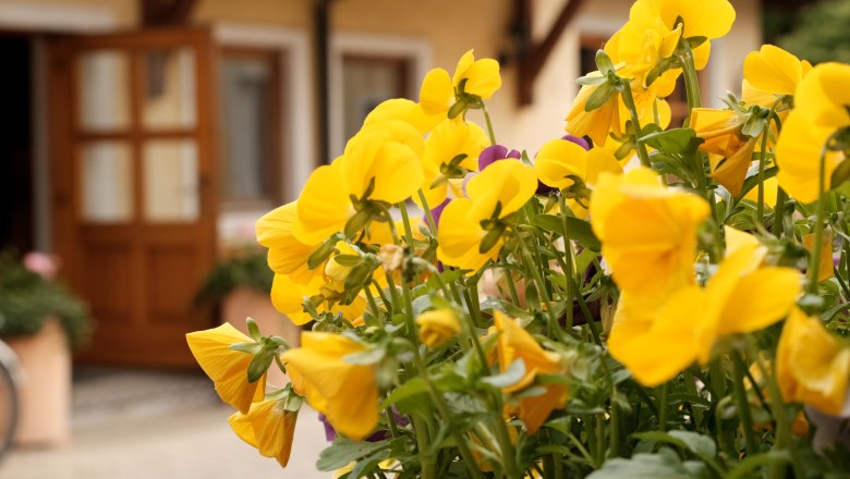 Hartl Winery, &copy; Wienerwald Tourismus/Kerstin Semmelmeyer