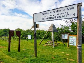 Ctiť ponožkov&uacute; trasu, &copy; Irene Tagwerker