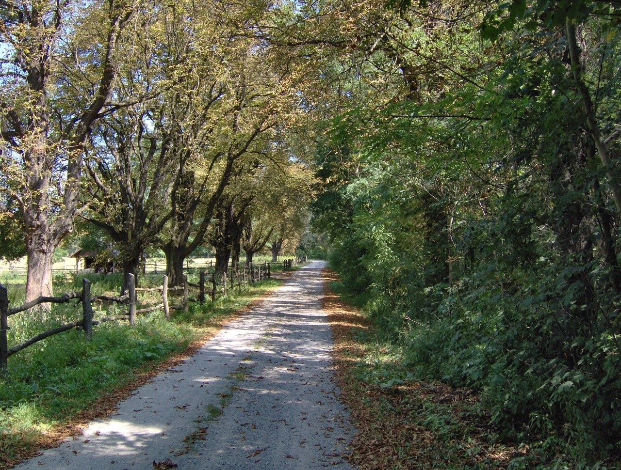 Miestna prechádzka Eckartsau, cesta cez Au les