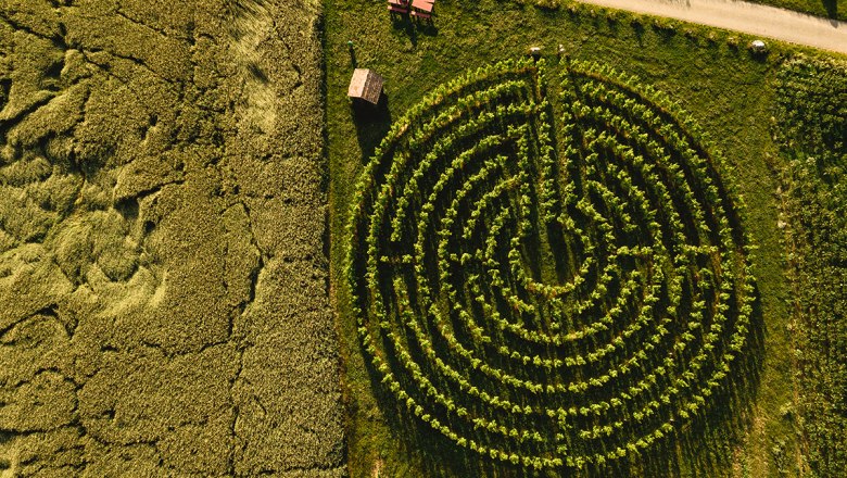Pleasure stop at the vineyard labyrinth, &copy; Michael Reidinger