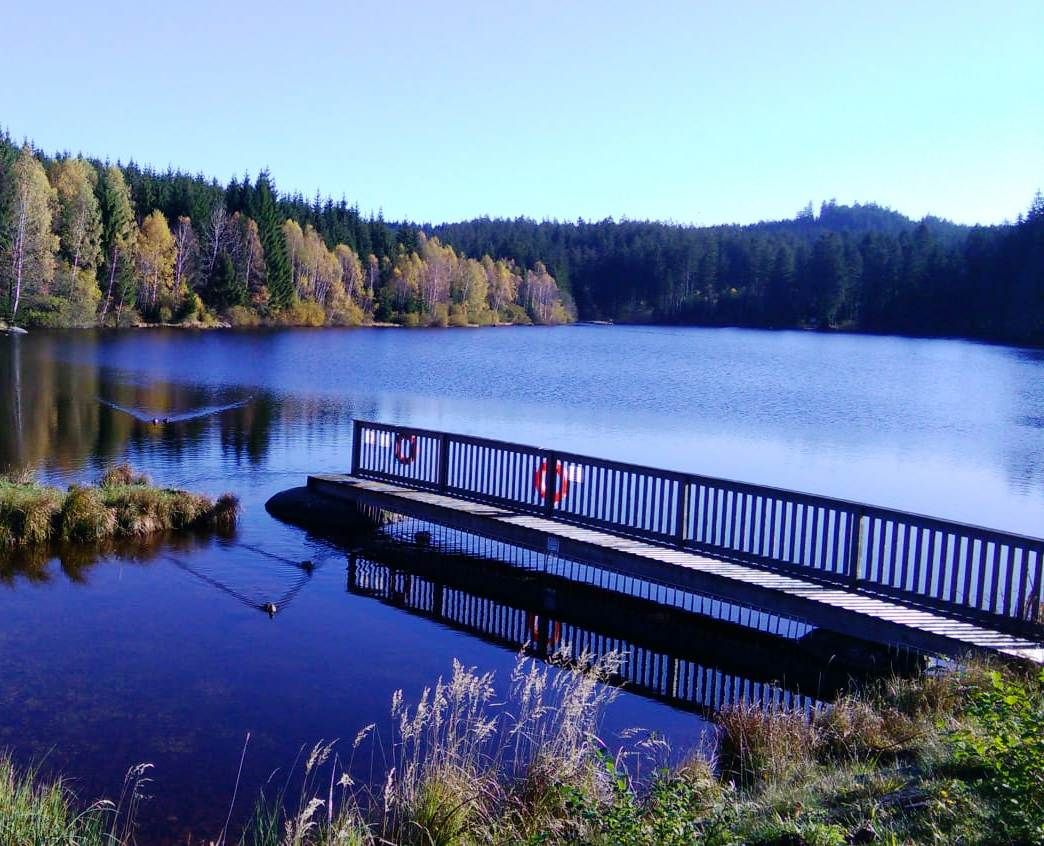 Rybník Schlesinger
