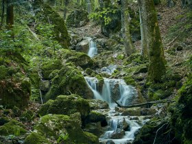 Steinwandklamm, &copy; Wienerwald Tourismus GmbH / Andreas Hofer