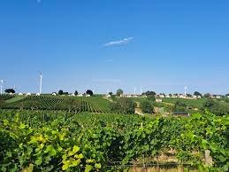 images, &copy; Herbert Wallner