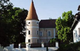 Hrad Fels am Wagram s vežou a stromami v popred&iacute;.