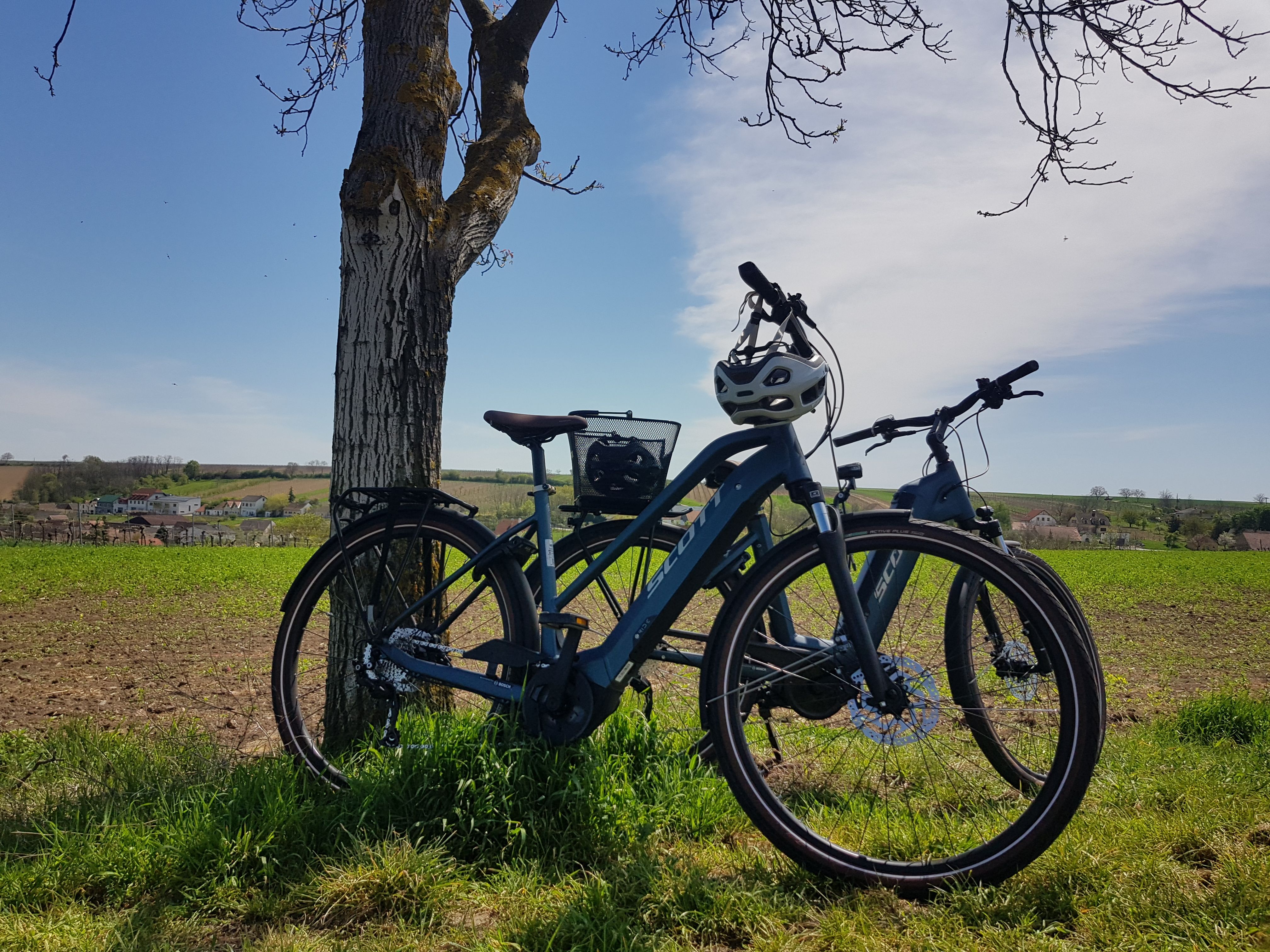 Dva bicykle opreté o strom na poli s dedinou v pozadí.