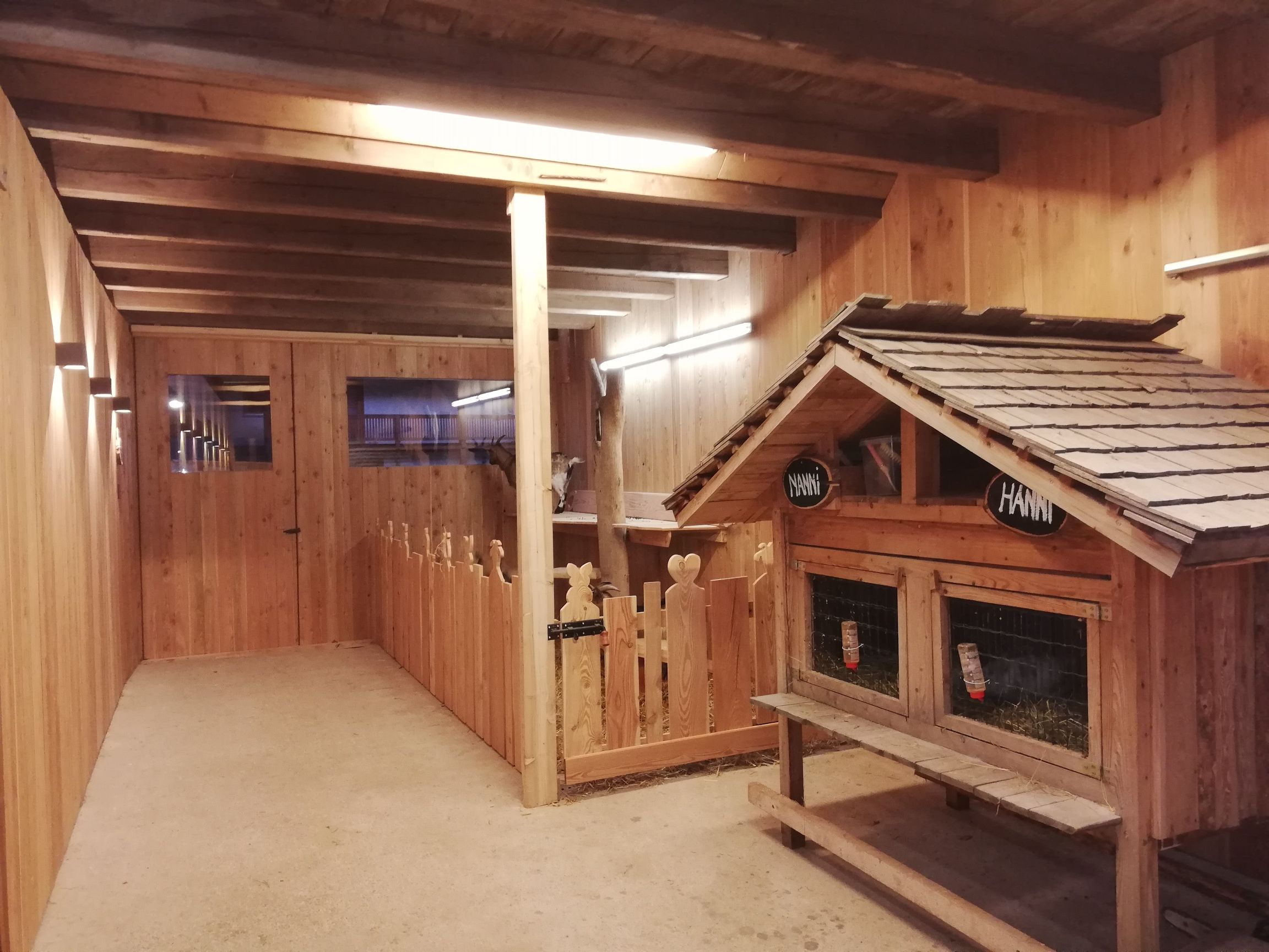 Pohľad do interiéru drevenej ohrady pre kozy s výbehom a malým domčekom.