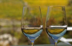 Wachau white wine in glasses, © Petr Blaha