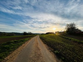Abendstimmung kurz vor Jagenbach, © Dr. Markus Peham